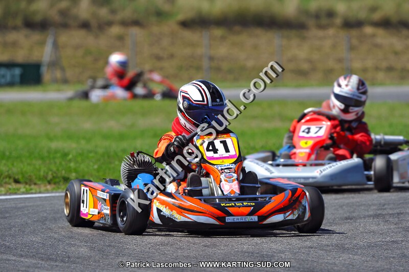 DSC_ (1531).jpg